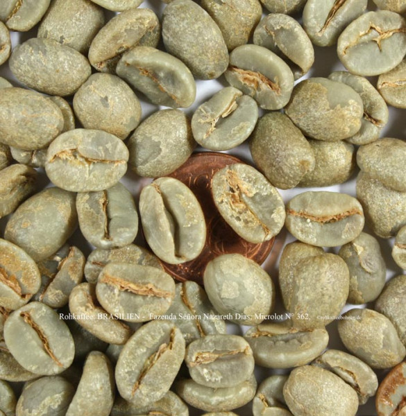 rohkaffee-brasilien-fazenda-señora-nazareth-dias-microlot-nr-362-rohkaffeebohnen.de