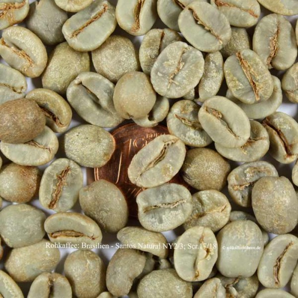 Rohkaffee: Brasilien -Santos Natural, NY 2/3; Scr.17/18