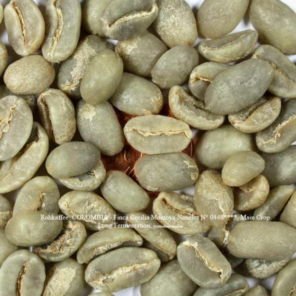 Rohkaffee: COLOMBIA - Finca Cecilia Montoya Nanolot N° 0448****, Main Crop Long Fermentation, ©rohkaffeebohnen.de