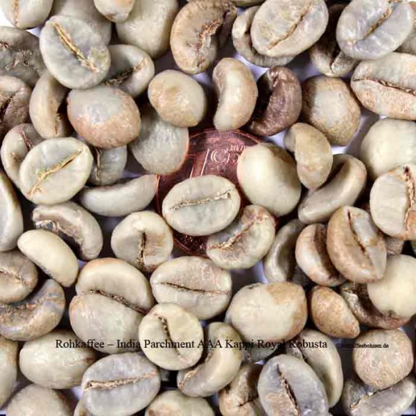 INDIA - Robusta Parchment AAA Kappi Royal 18+