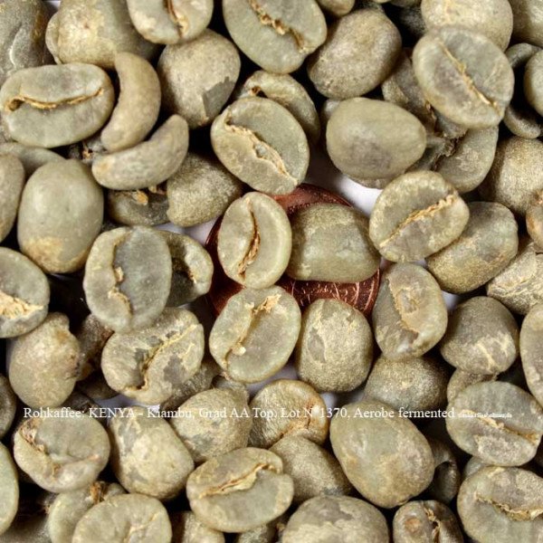 rohkaffee-kenya-kiambu-grad-aa-top-lot-nr1370-aerobe-fermented-rohkaffeebohnen.de
