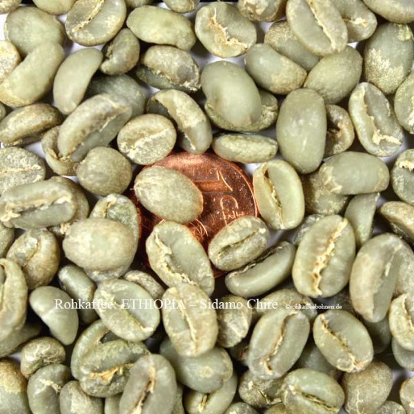 ETHIOPIA - SIDAMO Chire washed - Gr.1, Microlot