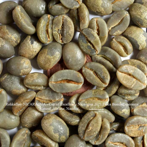 rohkaffee-nicaragua-cup-of-excellence-nicaragua-2021-finca-buena-esperanza-natural-auslese- ©rohkaffeebohnen.de