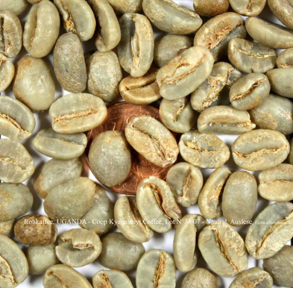uganda-coop-kyagalanyi-coffee-lot-nr3407-natural-auslese-rohkaffeebohnen.de