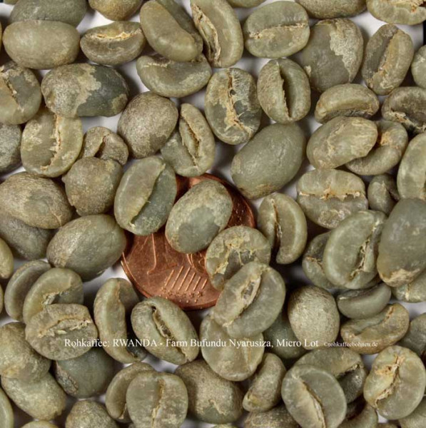 rohkaffee-rwanda-farm-bufundu-nyarusiza-micro-lot-rohkaffeebohnen-de