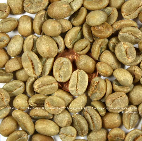 ethiopia-sidamo-bensa-anaerobic-masterpiece-lot-nr-2-mountain-dry-natural-outstanding-coffee-rohkaffeebohnen.de