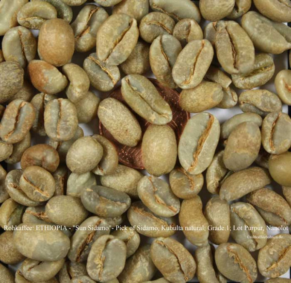 rohkaffee-ethiopia-sun-sidamo-pick-of-sidamo-kubulta-natural-grade.1-lot-purpur-nanolot-rohkaffeebohnen.de