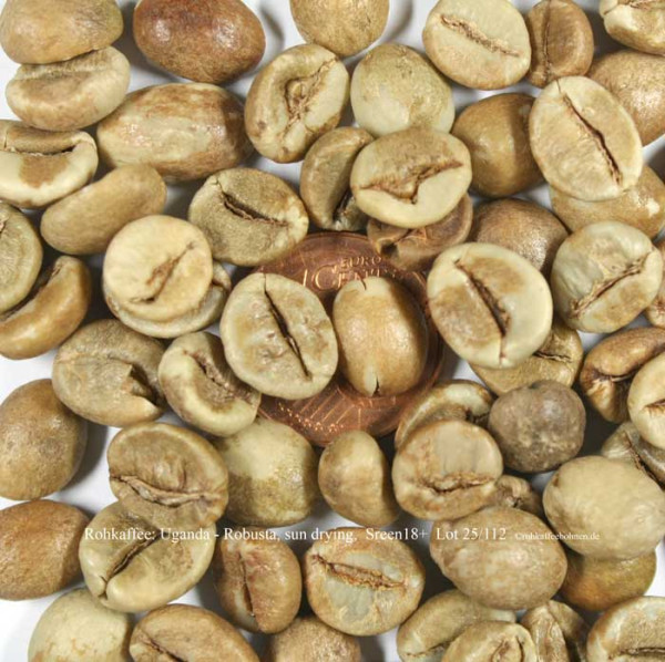 rohkaffee-uganda-robusta-sun-drying-scree-18plus-rohkaffeebohnen-de