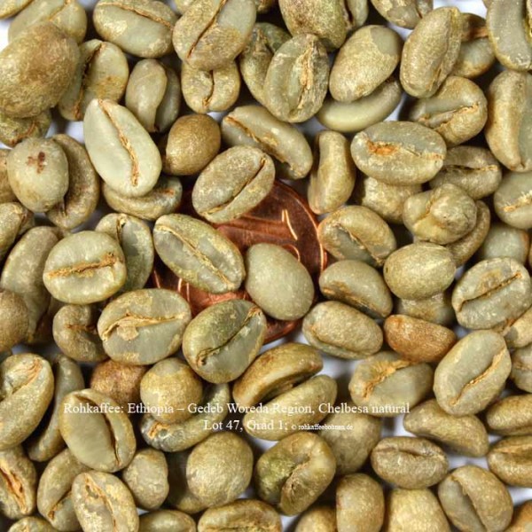 rohkaffee-ethiopia–chelbesa-natural-lot-47-grad 1- ©rohkaffeebohnen.de