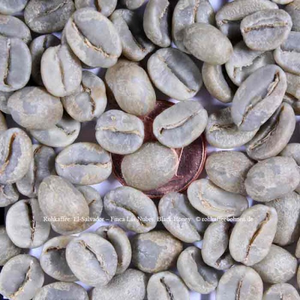 EL SALVADOR - Las Nubes, Estate Coffee, Microlot - Black Honey